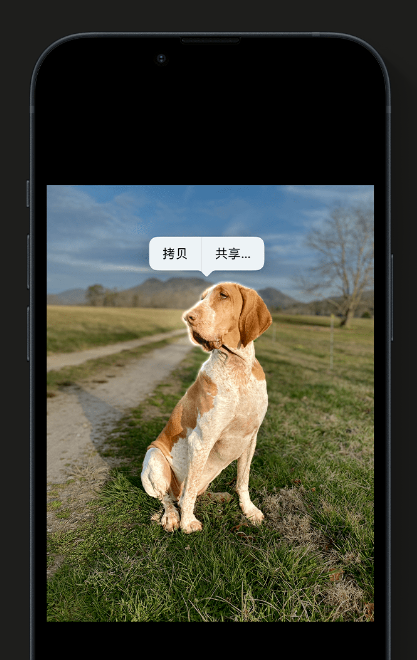 苹果官方推荐体验这些 iOS 16 新功能：精彩锁屏、一键抠图、实况文本等