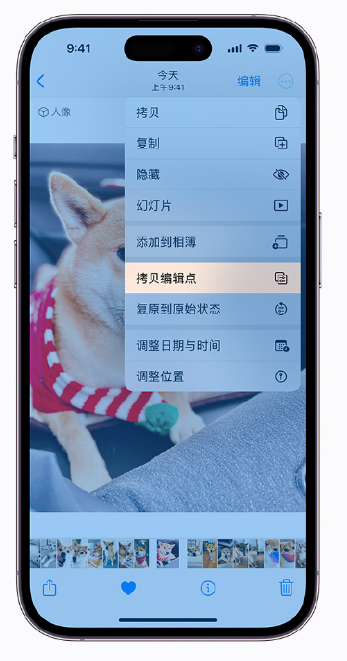 iOS 16 小技巧：支持拷贝编辑，轻松实现批量修图