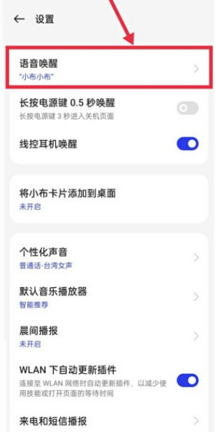 真我10pro+怎么开启语音助手