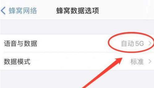 iPhone 13如何关闭5G网络？iPhone 13恒定4G设置方法