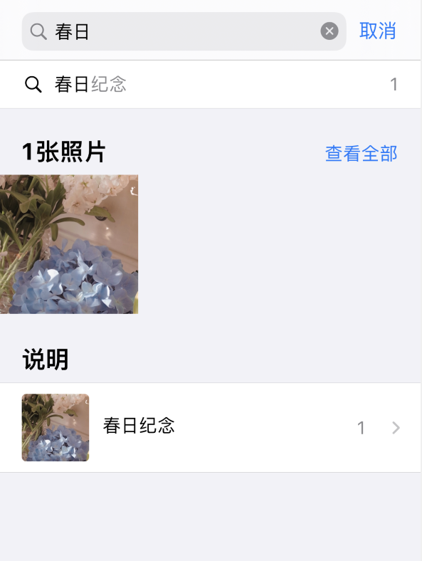 iOS 14 小技巧：为重要照片添加说明