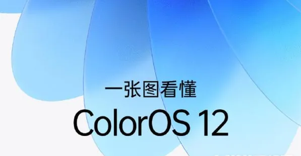 coloros12开发者模式在哪里