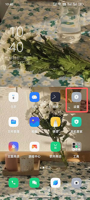 coloros12开发者模式在哪里