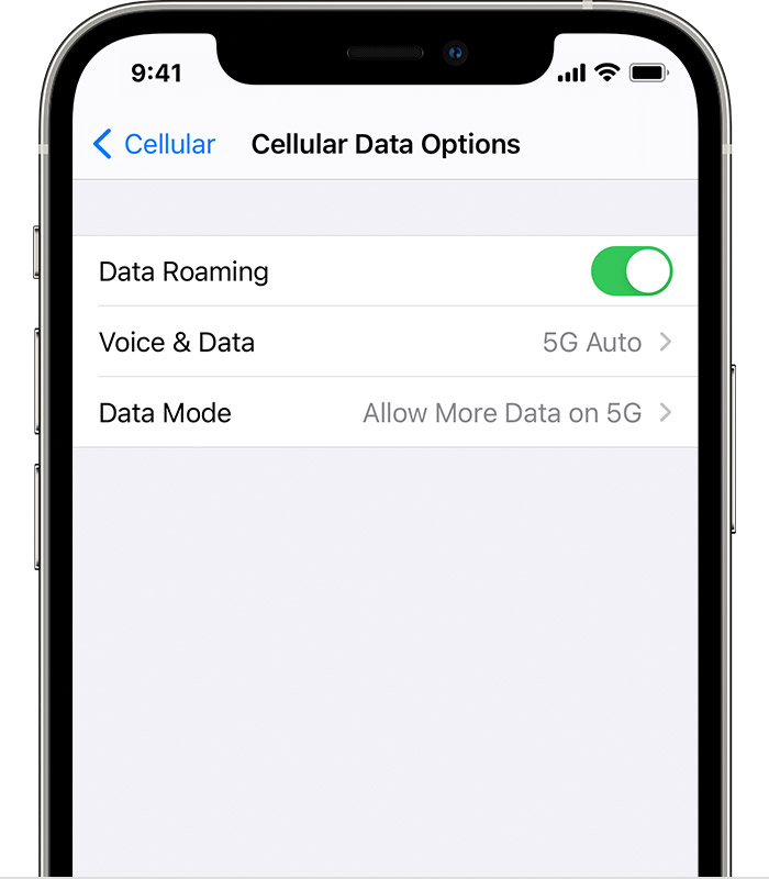 如何在 iPhone 12 上使用 5G？不显示选项怎么办？