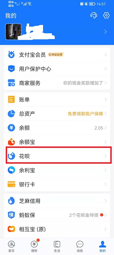 支付宝花呗在哪还