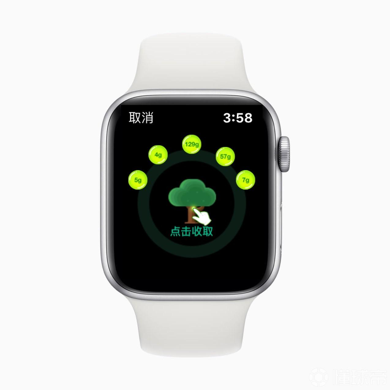 Apple Watch 支付宝新功能：“一键收取”蚂蚁森林能量 