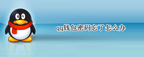 QQ钱包密码忘记如何找回 遗忘密码找回步骤一览 1