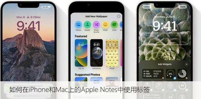 如何在iPhone和Mac上的Apple Notes中使用标签