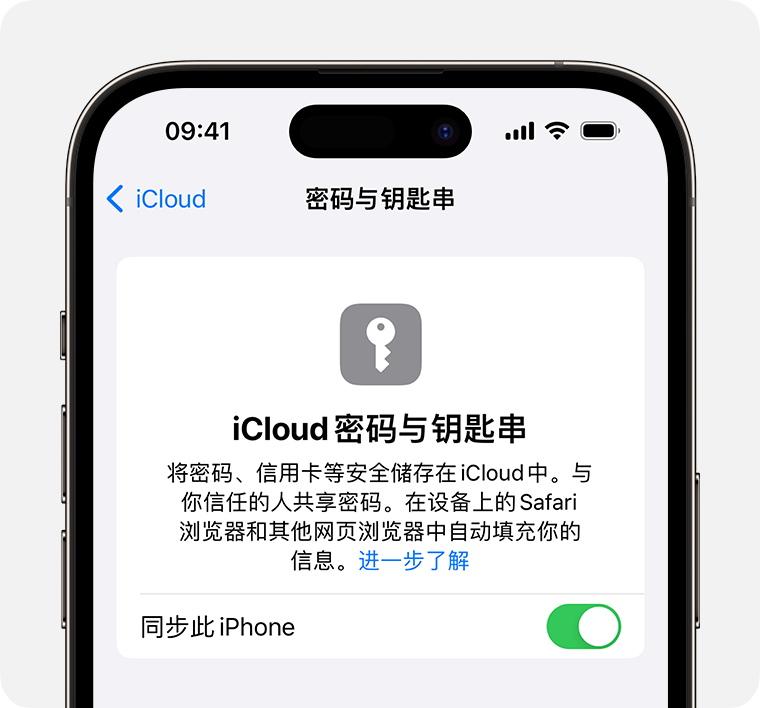 如何在 iPhone 15 系列机型中使用 iCloud 钥匙串？