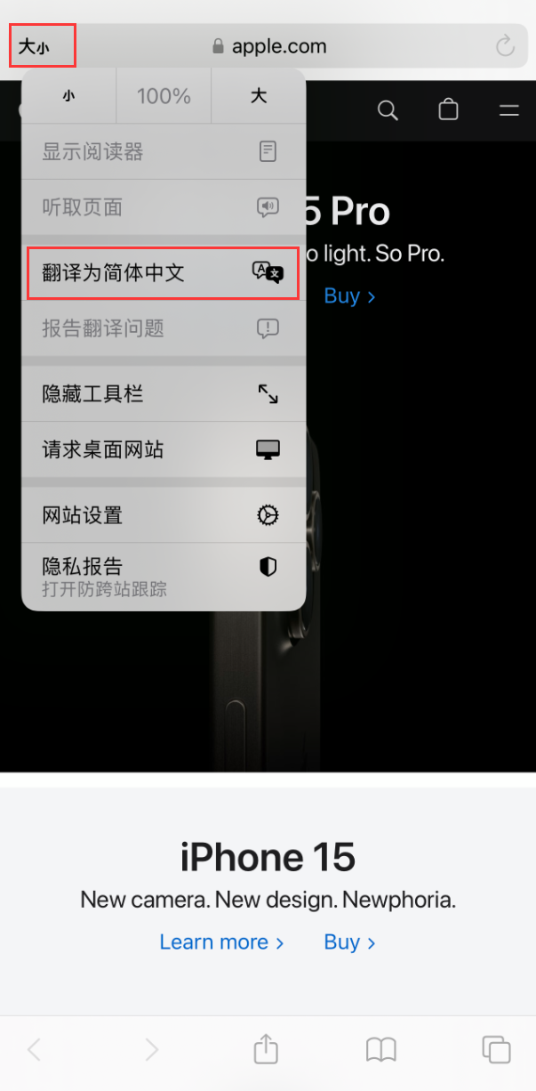 在 iPhone 上使用 Safari 浏览器翻译网页：可设置多种翻译语言