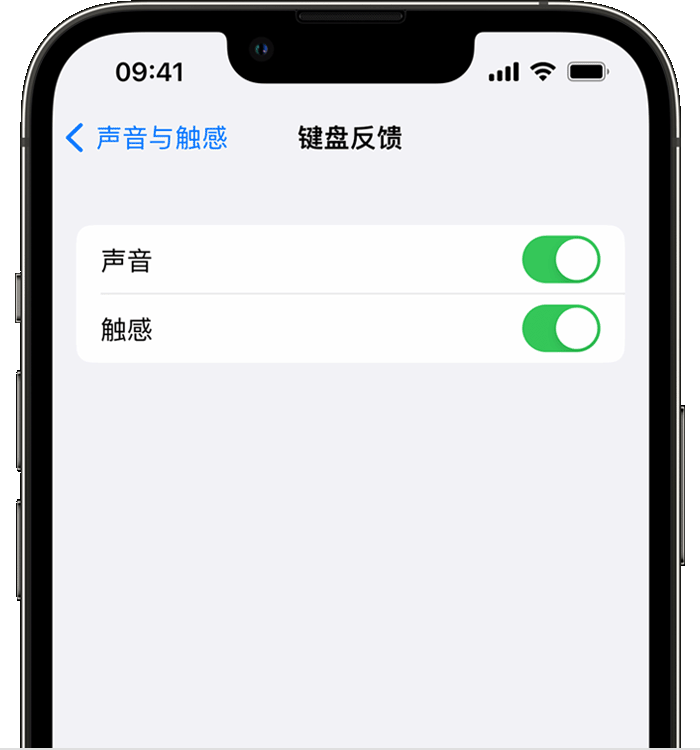 iPhone 14 系列机型如何开启键盘声音或触感反馈？