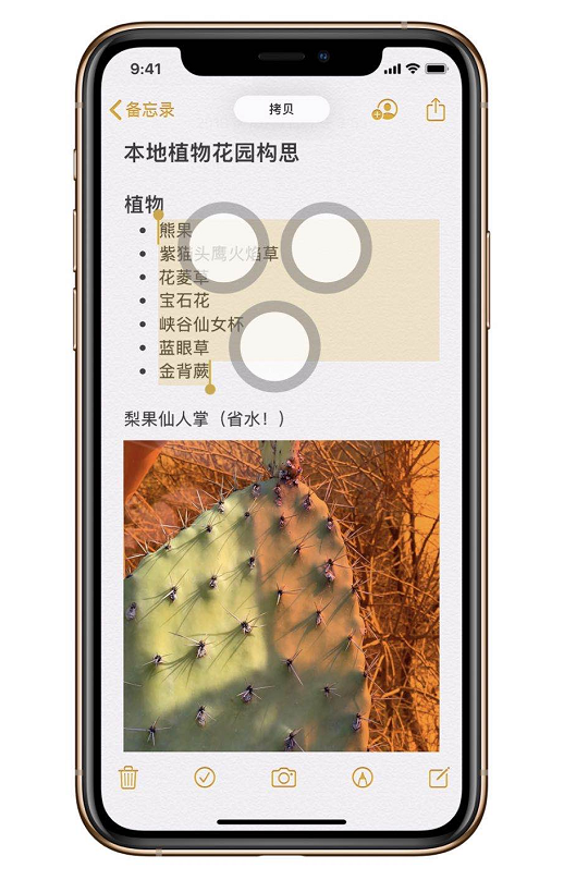 iOS 13 的三指快捷操作怎么用？