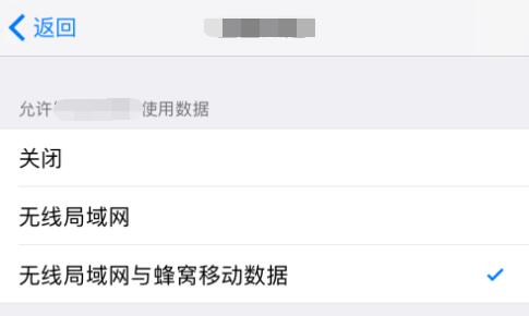 iPhone XS 如何禁止应用联网，无法找到设置选项是什么原因？