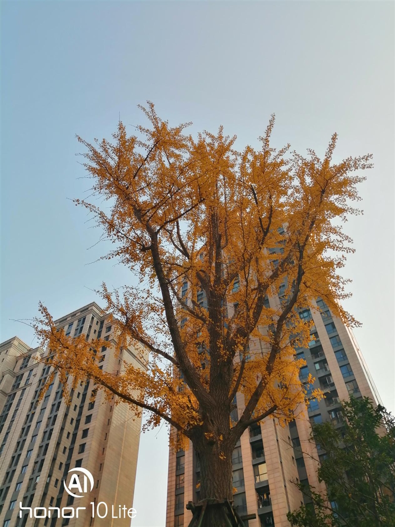 颜值就是正义！荣耀10青春版评测：外有炫光渐变 内有麒麟710