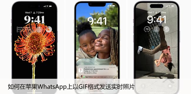 如何在苹果WhatsApp上以GIF格式发送实时照片