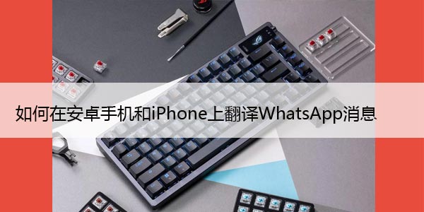 如何在安卓手机和iPhone上翻译WhatsApp消息