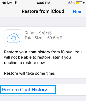 从 iCloud Drive 恢复 iPhone 上的 WhatsApp