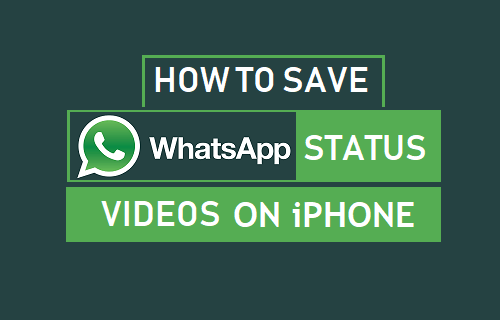 在 iPhone 上保存 WhatsApp 状态视频