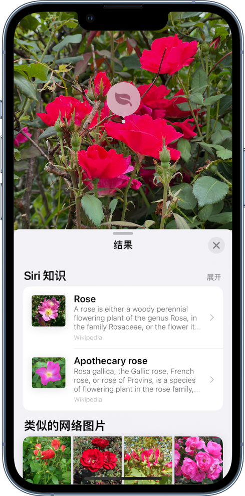 苹果 iOS 17 升级“看图查询”功能：可识别车辆仪表盘上的标志