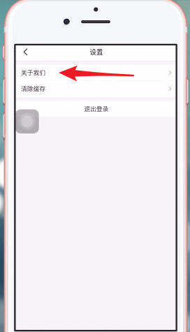 淘集集APP联系客服的操作过程截图