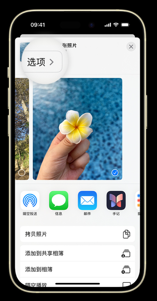 如何在 iPhone 上将照片转为 JPG 格式共享给他人？