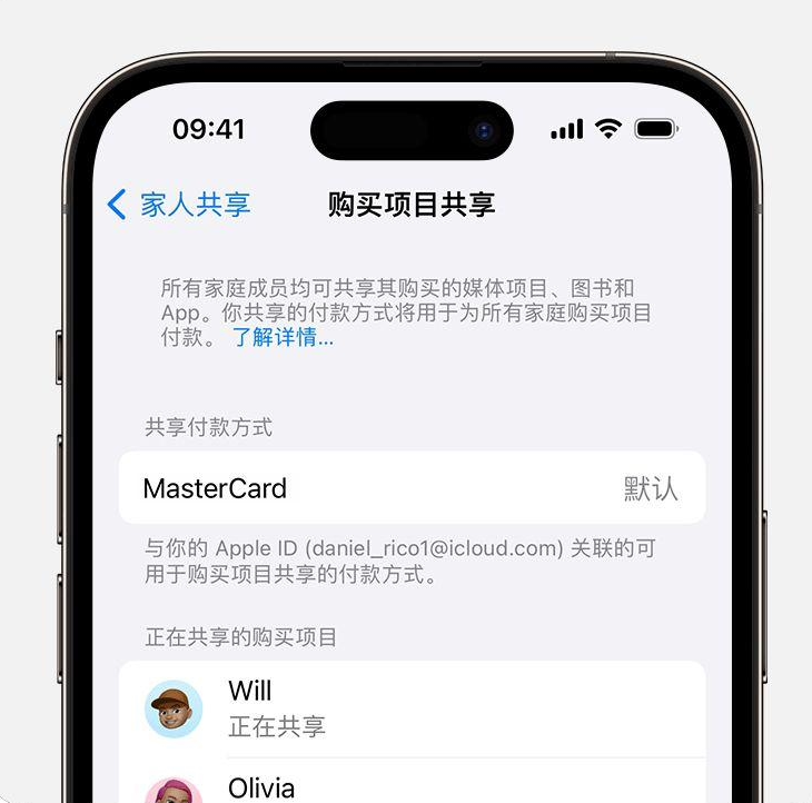 开放侧载后iPhone手机的哪些功能不能正常使用？